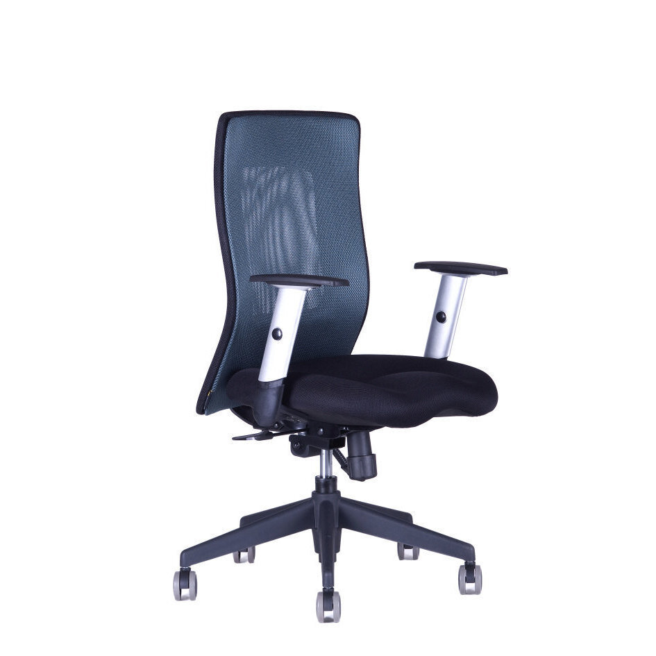 Irodai szék CALYPSO XL BP