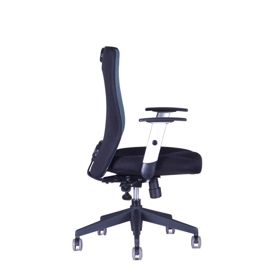 Irodai szék CALYPSO XL BP