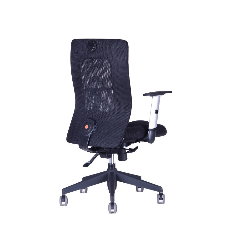 Irodai szék CALYPSO XL BP