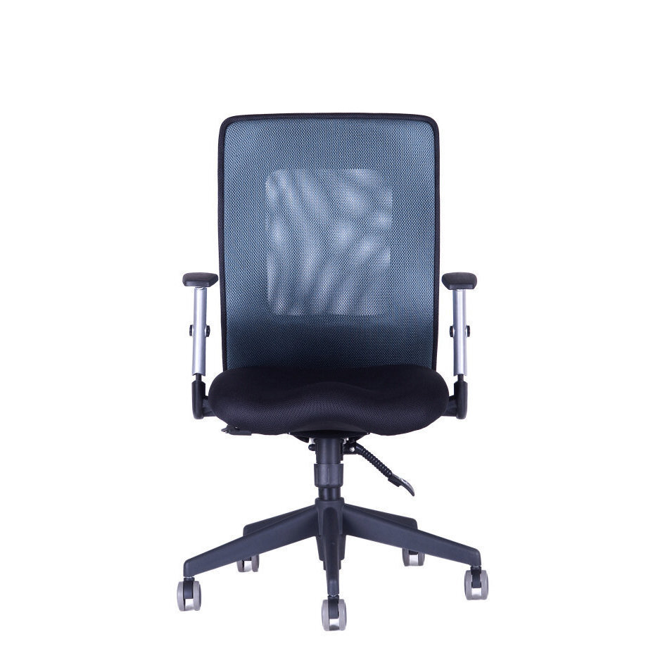 Irodai szék CALYPSO XL BP