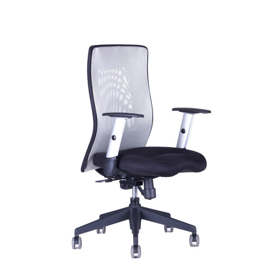 Irodai szék CALYPSO XL BP