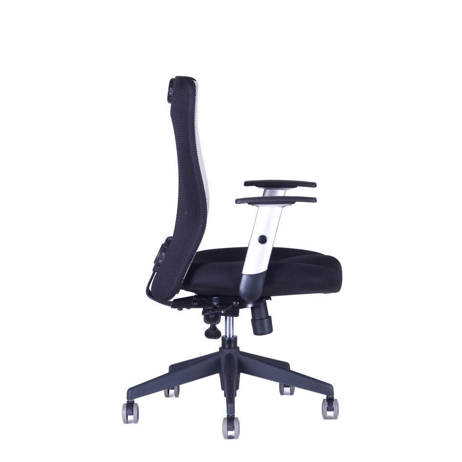 Irodai szék CALYPSO XL BP