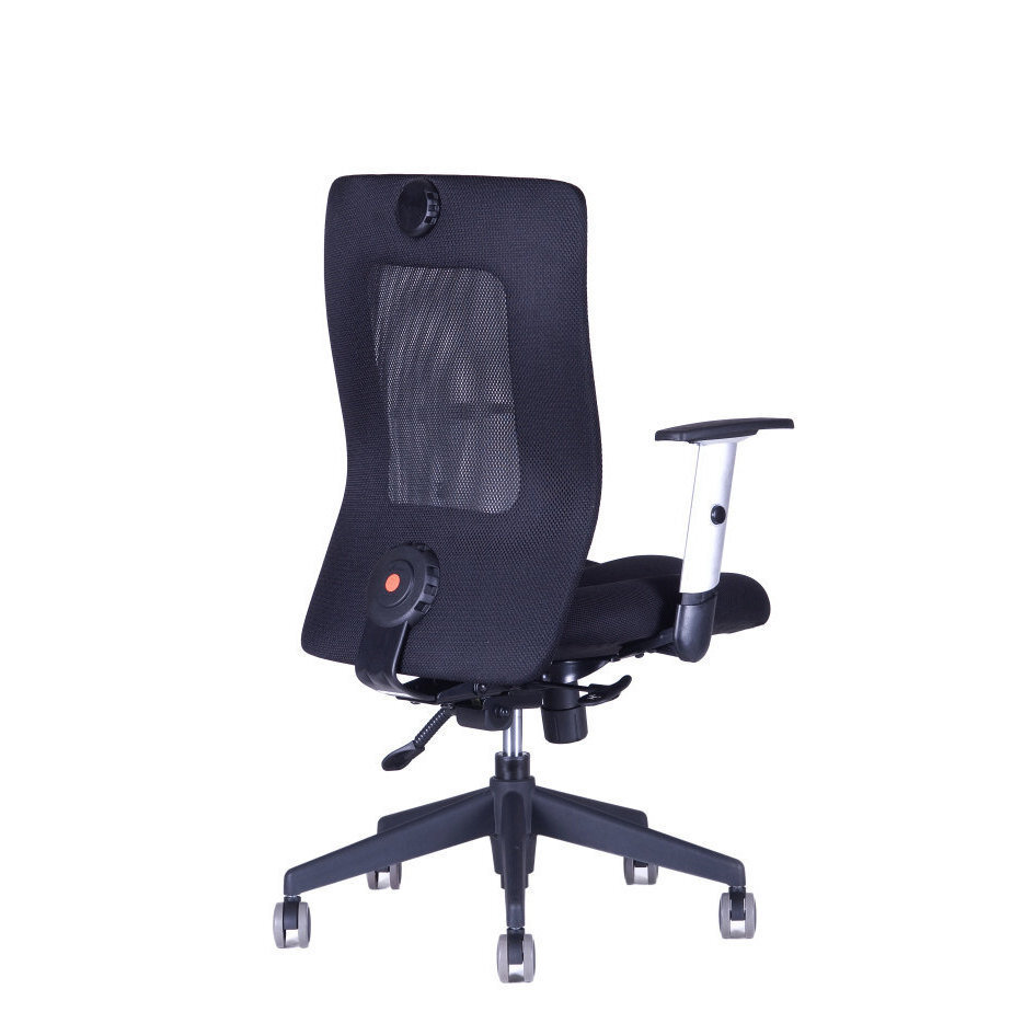 Irodai szék CALYPSO XL BP