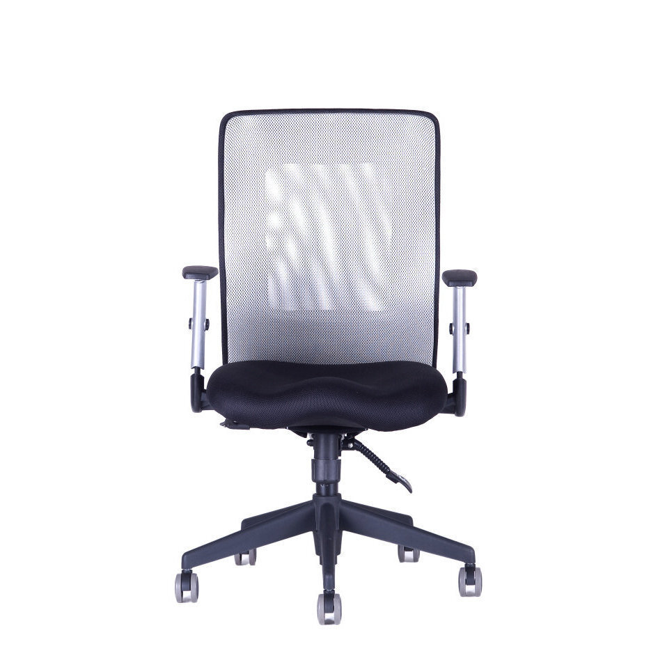 Irodai szék CALYPSO XL BP