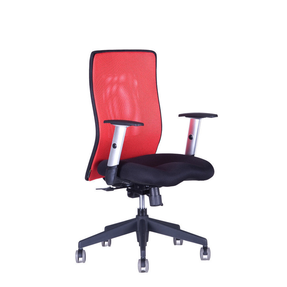 Irodai szék CALYPSO XL BP