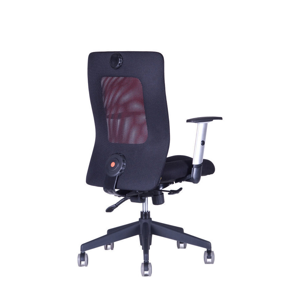 Irodai szék CALYPSO XL BP