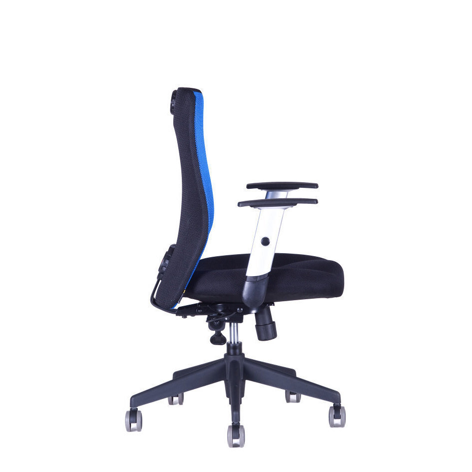 Irodai szék CALYPSO XL BP