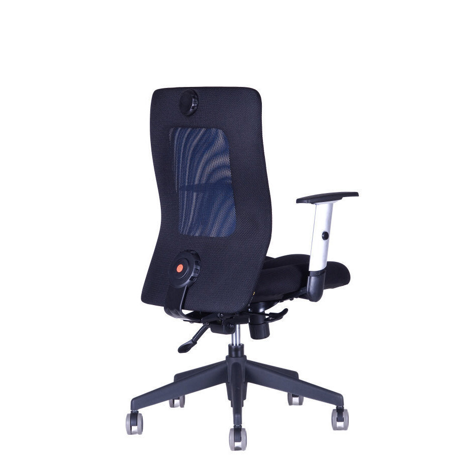 Irodai szék CALYPSO XL BP