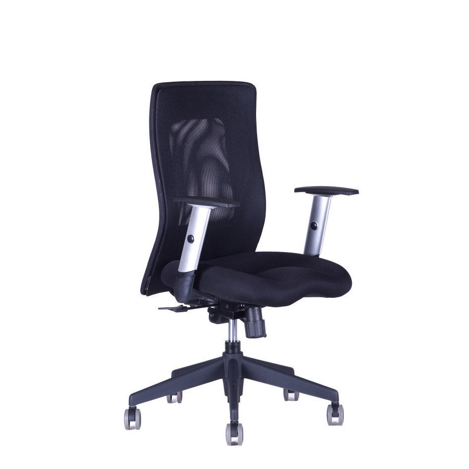 Irodai szék CALYPSO XL BP