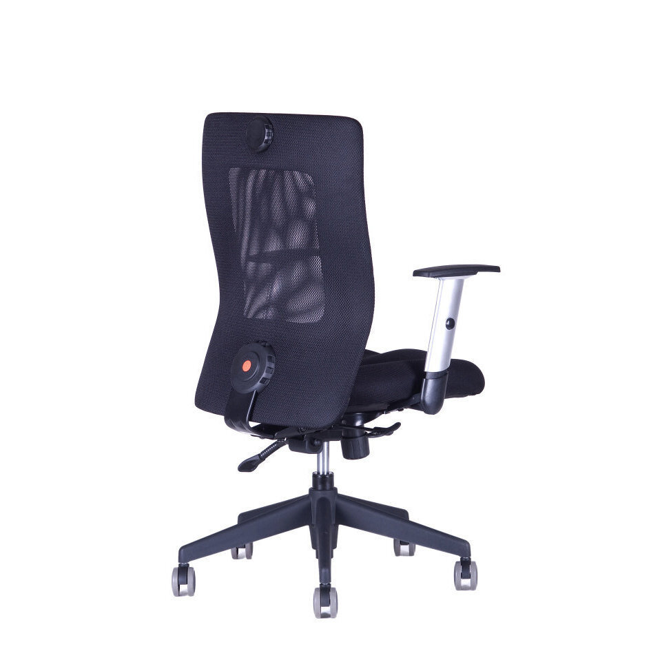 Irodai szék CALYPSO XL BP