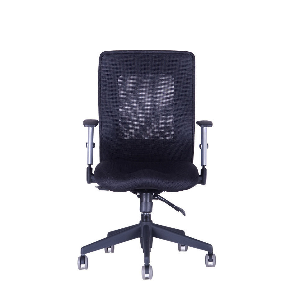 Irodai szék CALYPSO XL BP